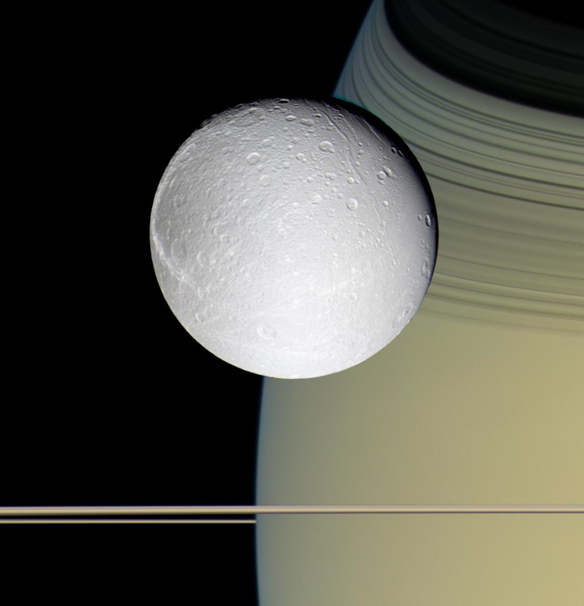 ringside, With, Dione, 1927x2000 Wallpaper