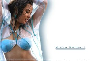 nisha, Kothari, Indian, Actress, Bollywood, Model, Babe,  16