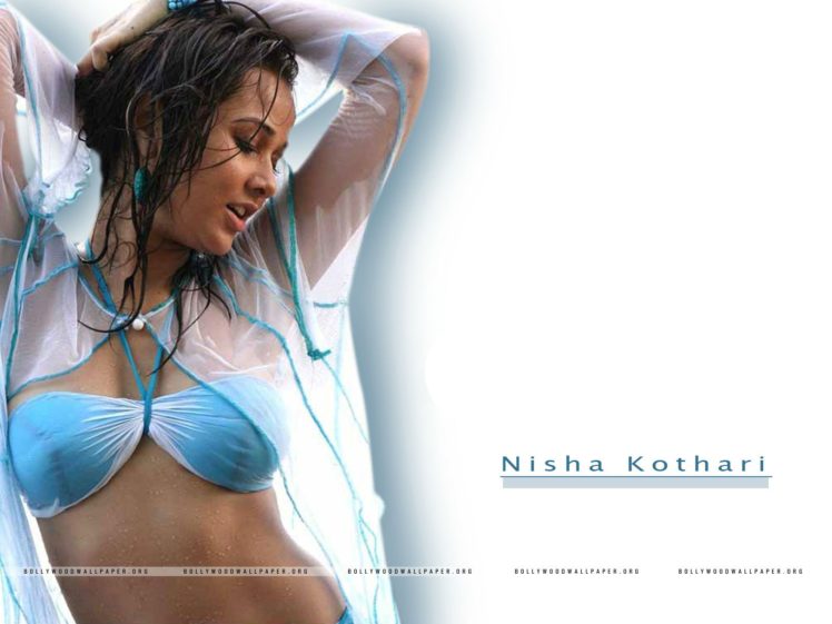 nisha, Kothari, Indian, Actress, Bollywood, Model, Babe,  16 HD Wallpaper Desktop Background