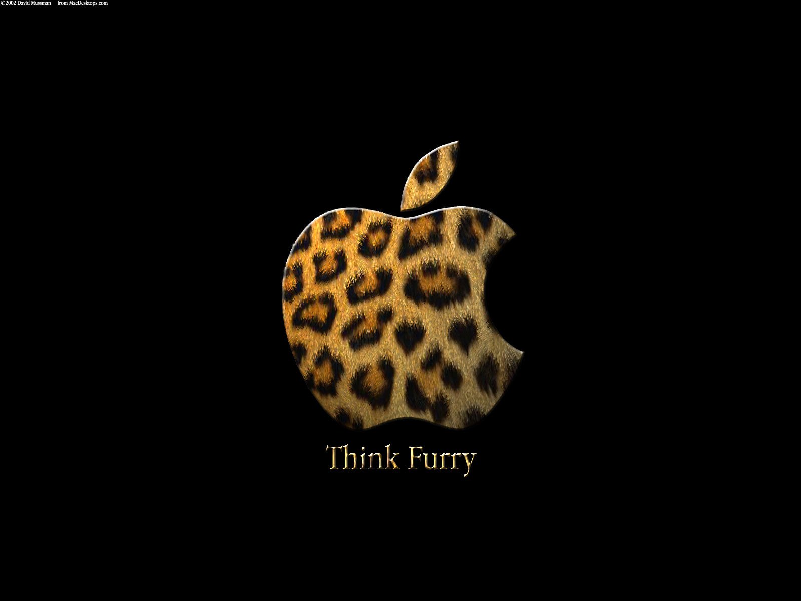 apple, Inc, , Textures, Leopard, Print, Black, Background Wallpaper