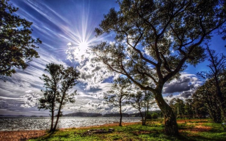 light, Serenity, Landscapes, Nature, Coast, Sun, Trees HD Wallpaper Desktop Background