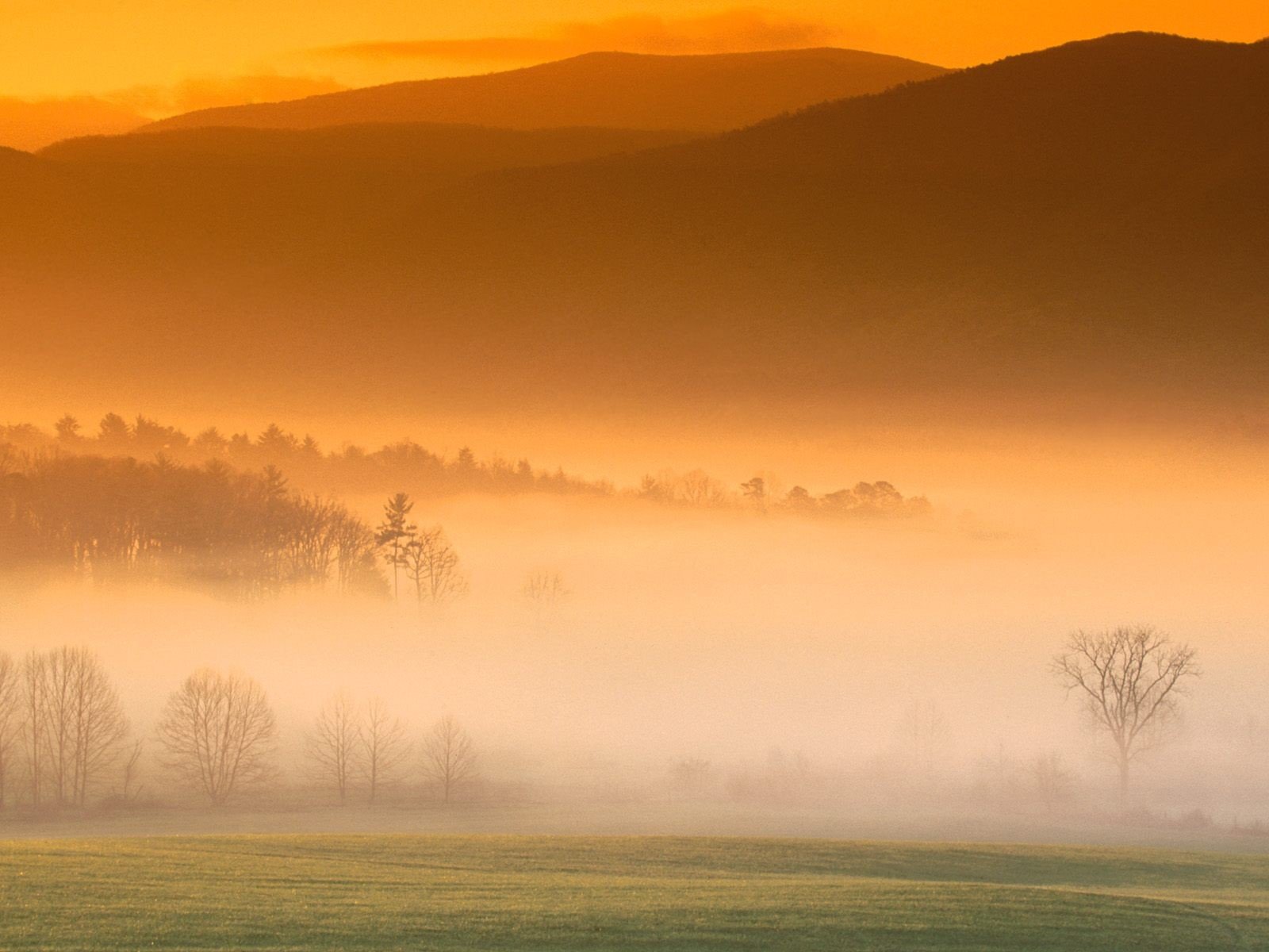 sunrise, Cove, Great, Smoky, Mountains Wallpaper