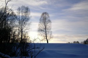 winter, Snow, Landscapes