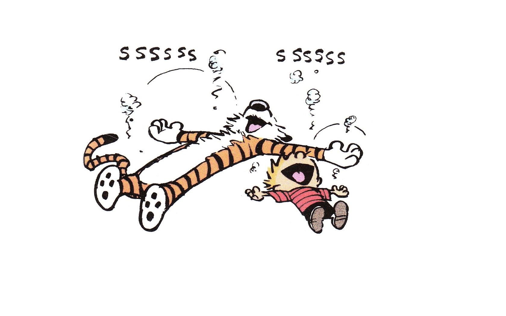 calvin, Calvin, And, Hobbes Wallpaper