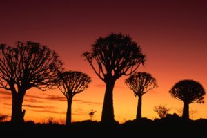sunset, Namibia