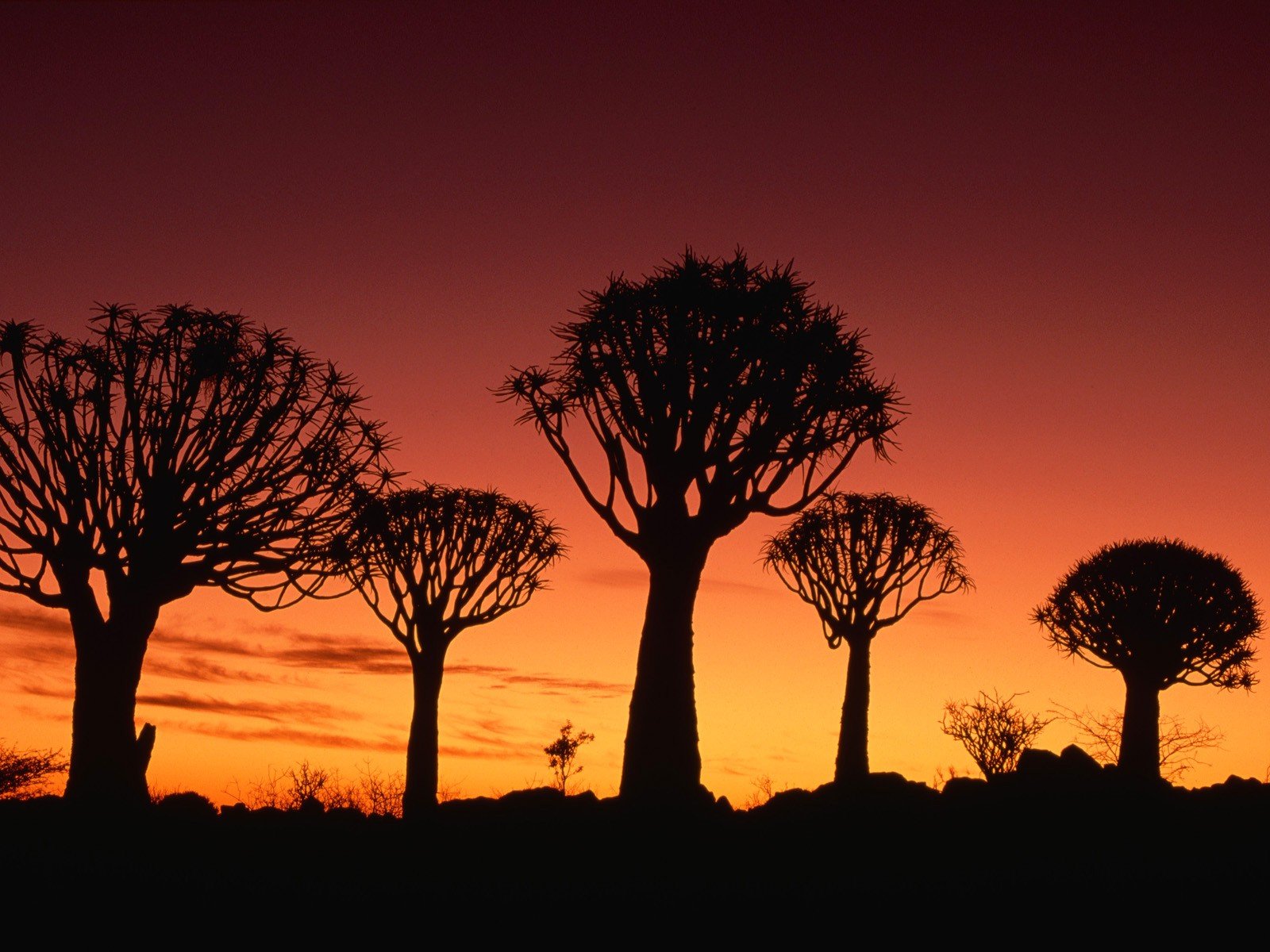 sunset, Namibia Wallpaper