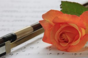 flowers, Pens, Roses, Musical, Notes