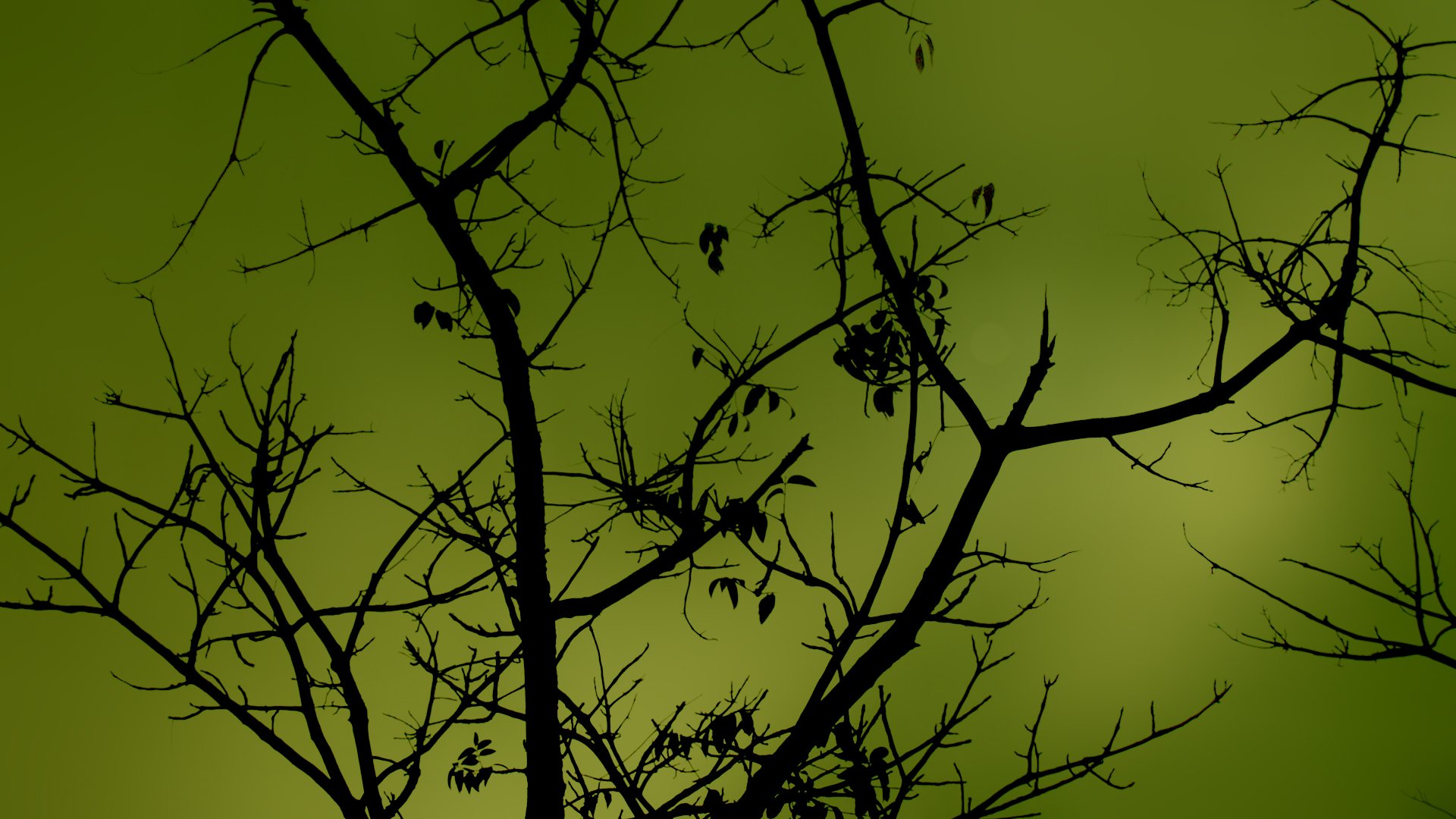 nature, Minimalistic Wallpaper