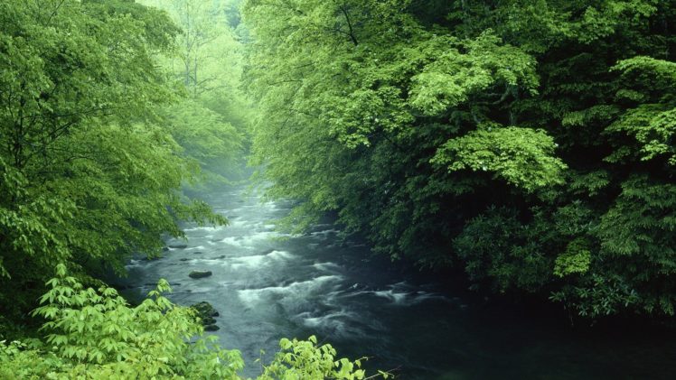 tennessee, Rivers, National, Park, Great, Smoky, Mountains HD Wallpaper Desktop Background