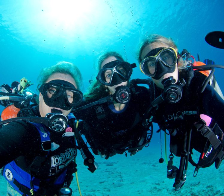 scuba, Diving, Diver, Ocean, Sea, Underwater HD Wallpaper Desktop Background