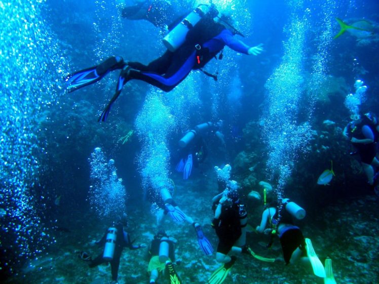 scuba, Diving, Diver, Ocean, Sea, Underwater Wallpapers HD / Desktop and  Mobile Backgrounds