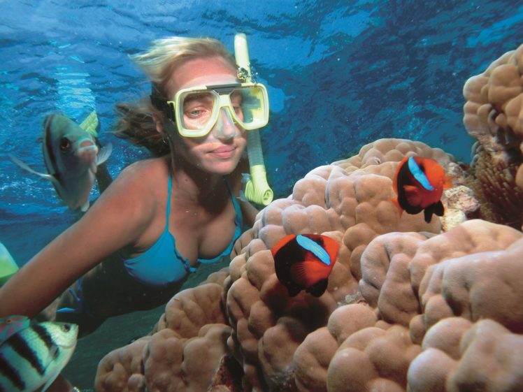 scuba, Diving, Diver, Ocean, Sea, Underwater, Fish HD Wallpaper Desktop Background