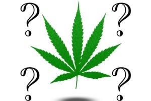marijuana, 420, Weed, Mary, Jane, Drugs,  20