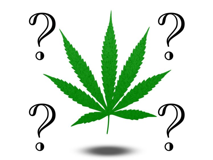 marijuana, 420, Weed, Mary, Jane, Drugs,  20 HD Wallpaper Desktop Background