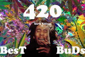 marijuana, 420, Weed, Mary, Jane, Drugs,  14