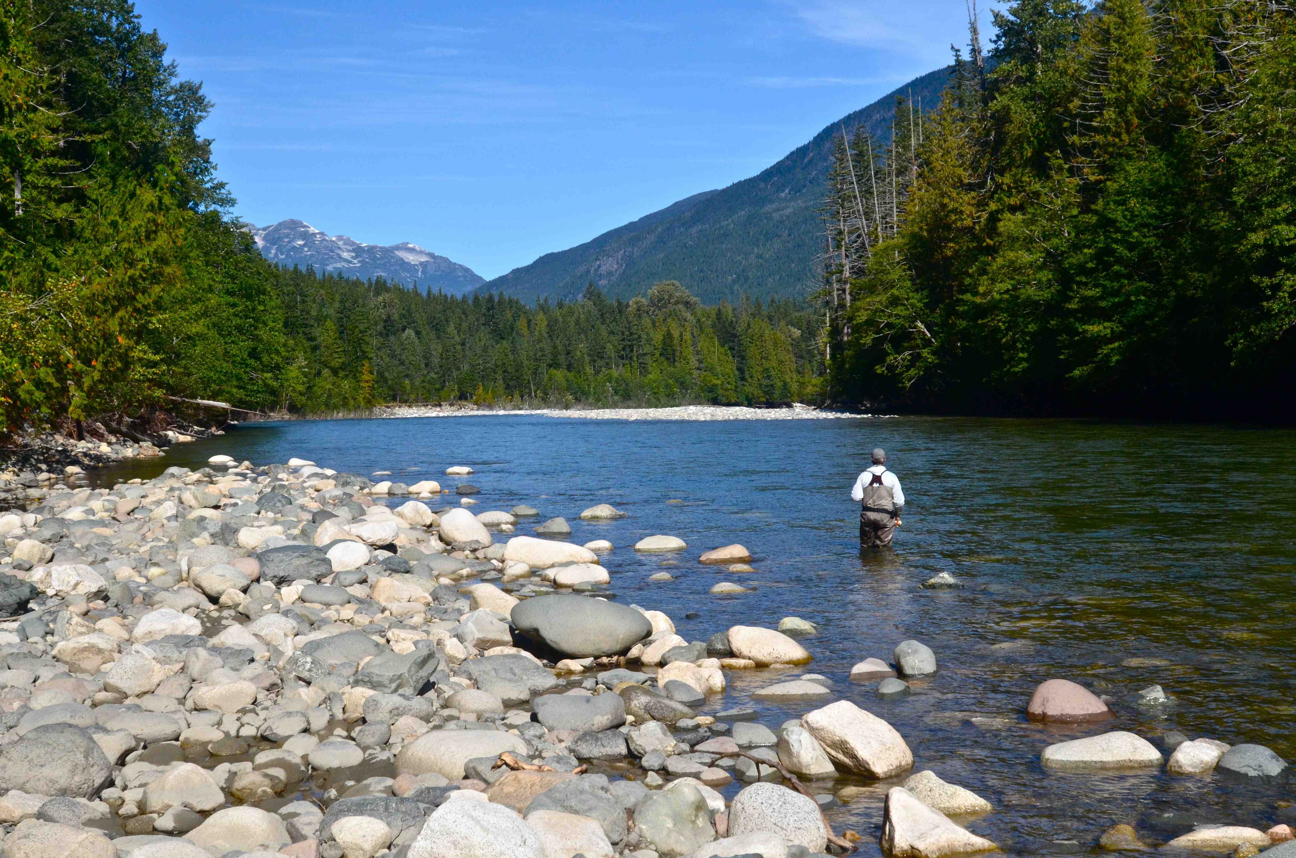 fishing, Fish, Sport, Water, Fishes,  49 Wallpaper