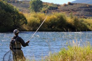 fishing, Fish, Sport, Water, Fishes,  55