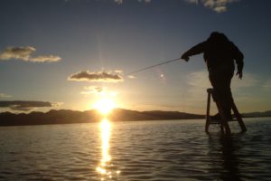 fishing, Fish, Sport, Water, Fishes,  85