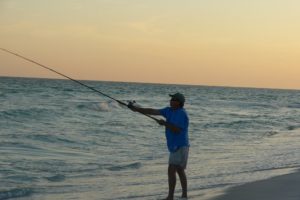 fishing, Fish, Sport, Water, Fishes,  12
