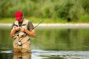 fishing, Fish, Sport, Water, Fishes,  7