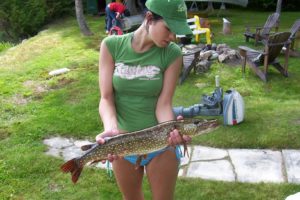 fishing, Fish, Sport, Water, Fishes,  31