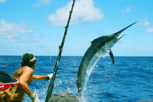 fishing, Fish, Sport, Water, Fishes,  27