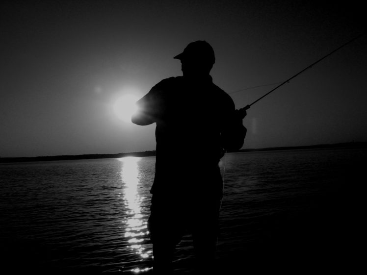 fishing, Fish, Sport, Water, Fishes,  47 HD Wallpaper Desktop Background