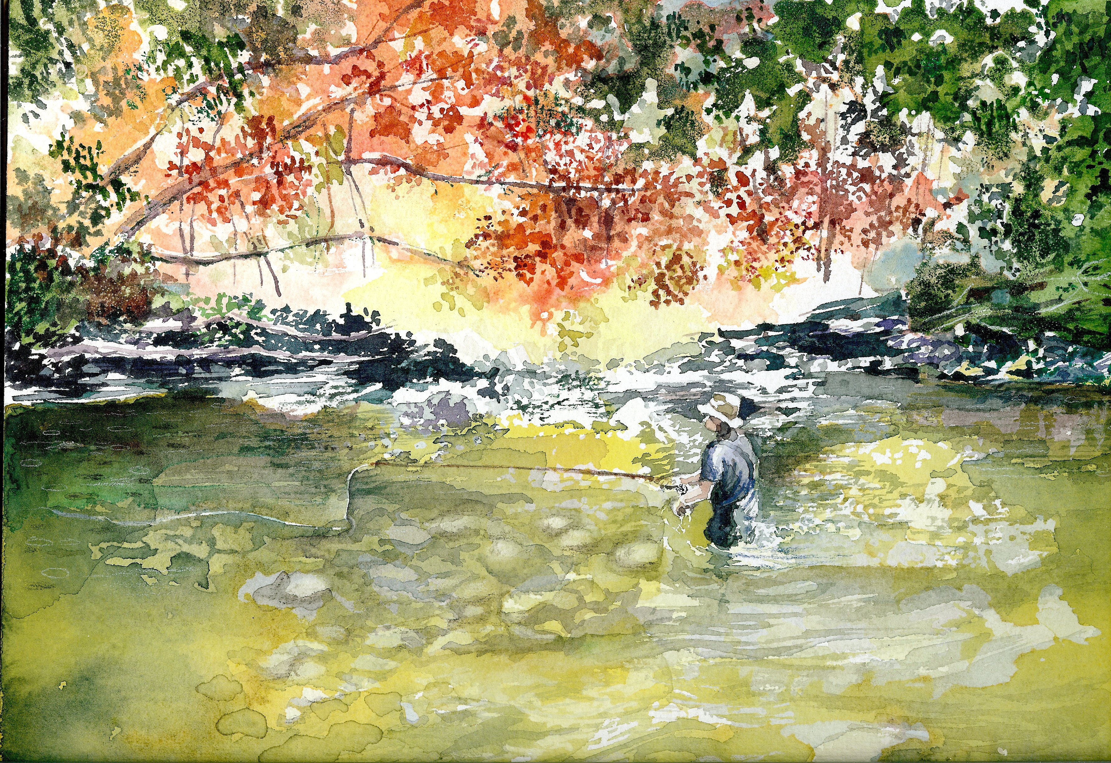 fishing, Fish, Sport, Water, Fishes,  46 Wallpaper