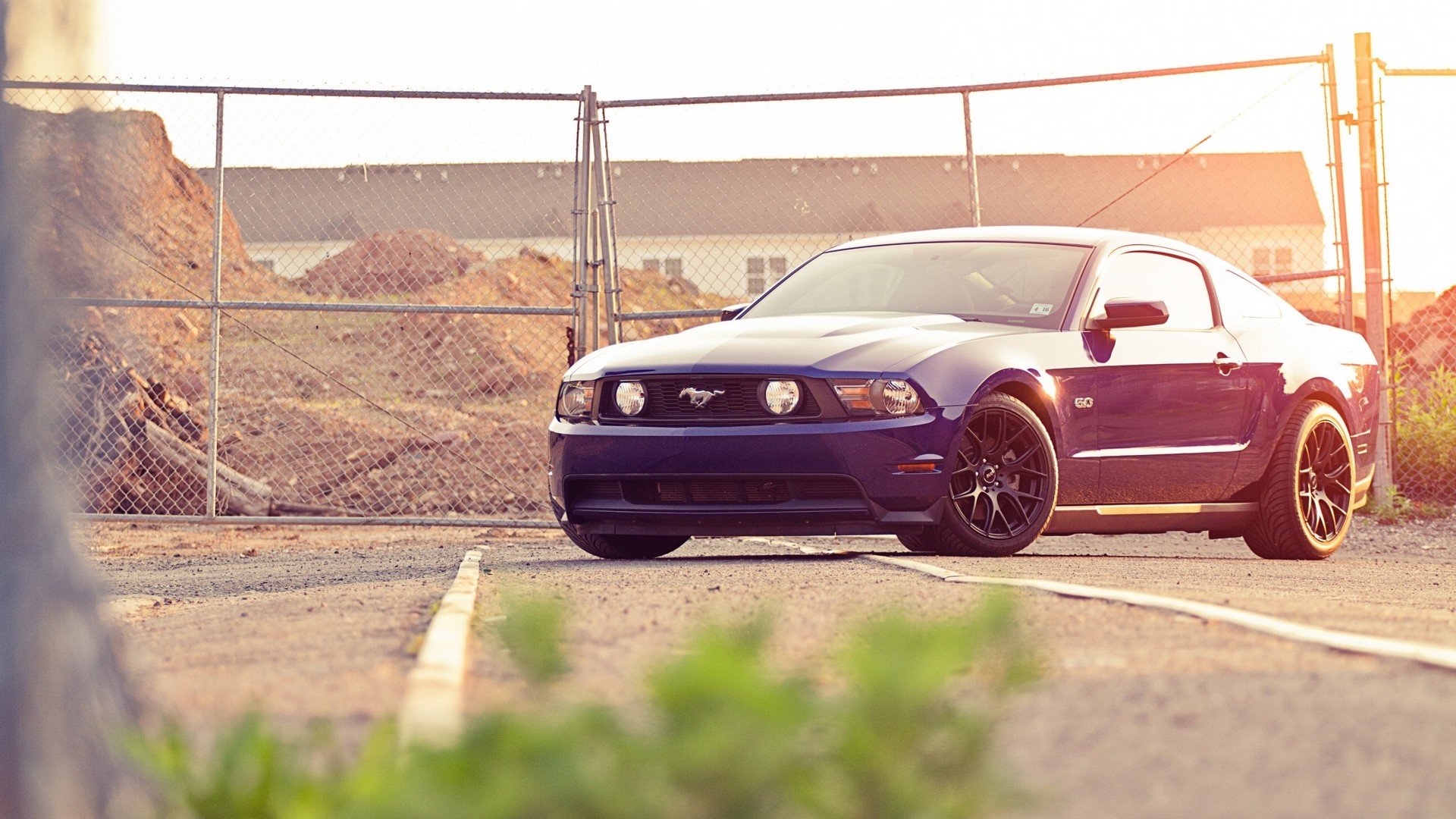 cars, Muscle, Cars, Ford, Mustang Wallpaper