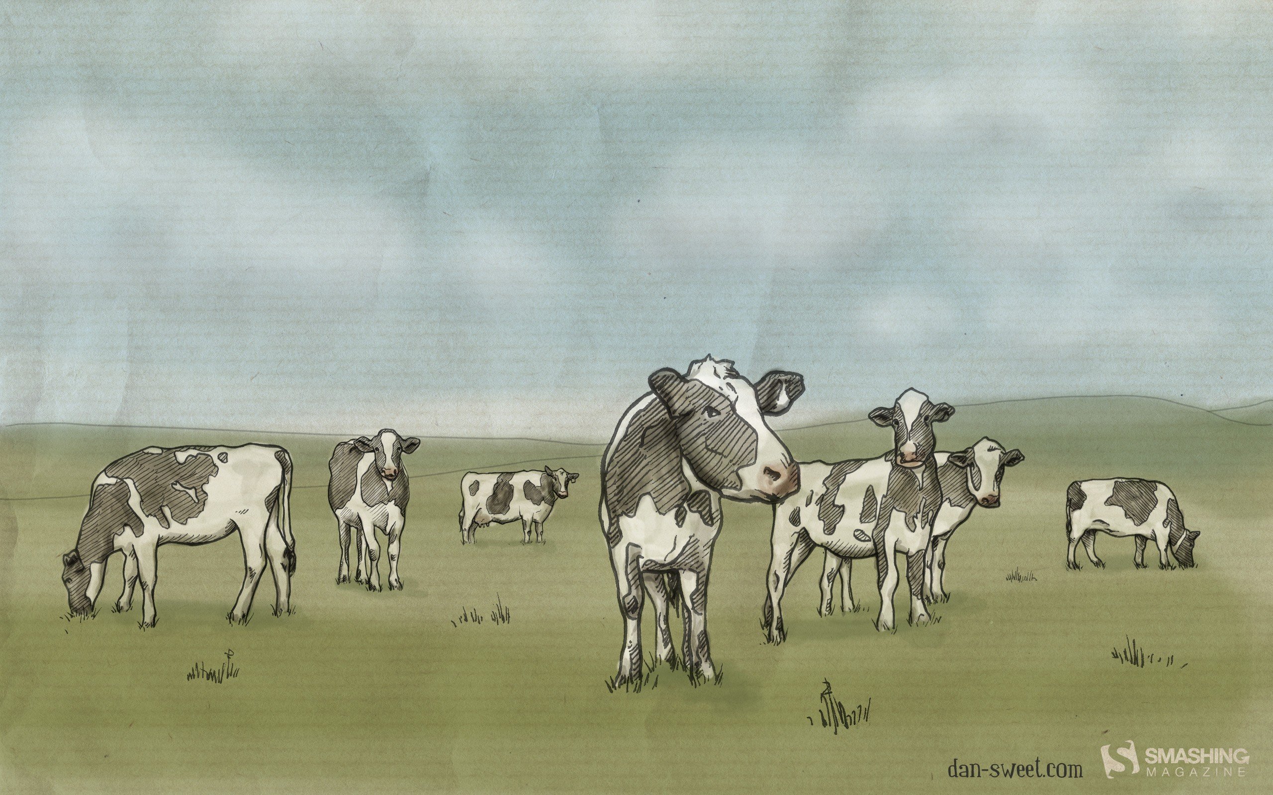 cows Wallpaper