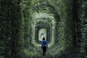 women, Mood, Brunettes, Tunnel, Nature, Landscapes, Railroad, Tracks, Train