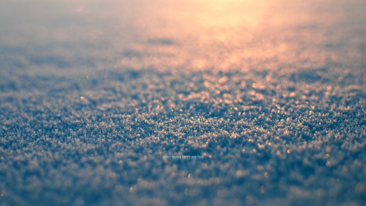 winter, Snow, Macro HD Wallpaper Desktop Background