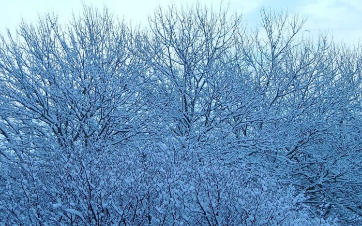 nature, Winter, Tv, Shows HD Wallpaper Desktop Background