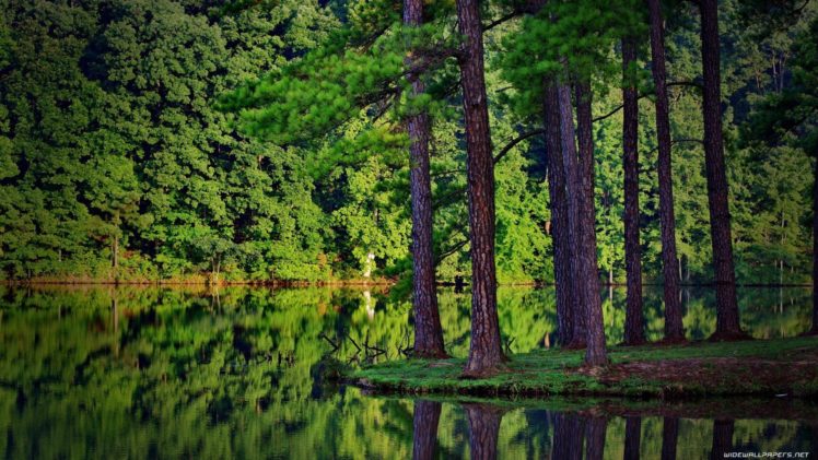 landscapes, Nature, Forests, Lakes HD Wallpaper Desktop Background