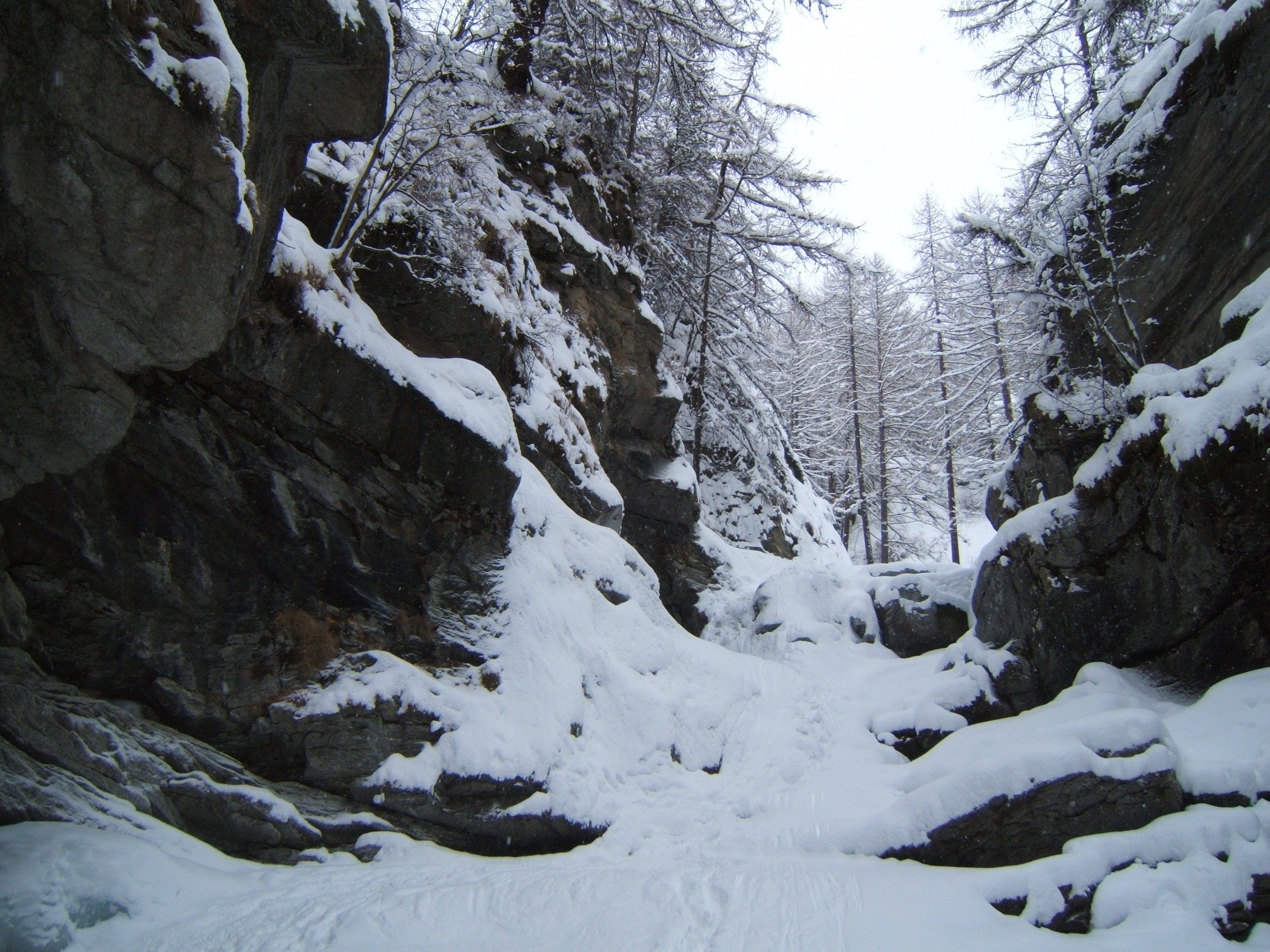 snow Wallpaper