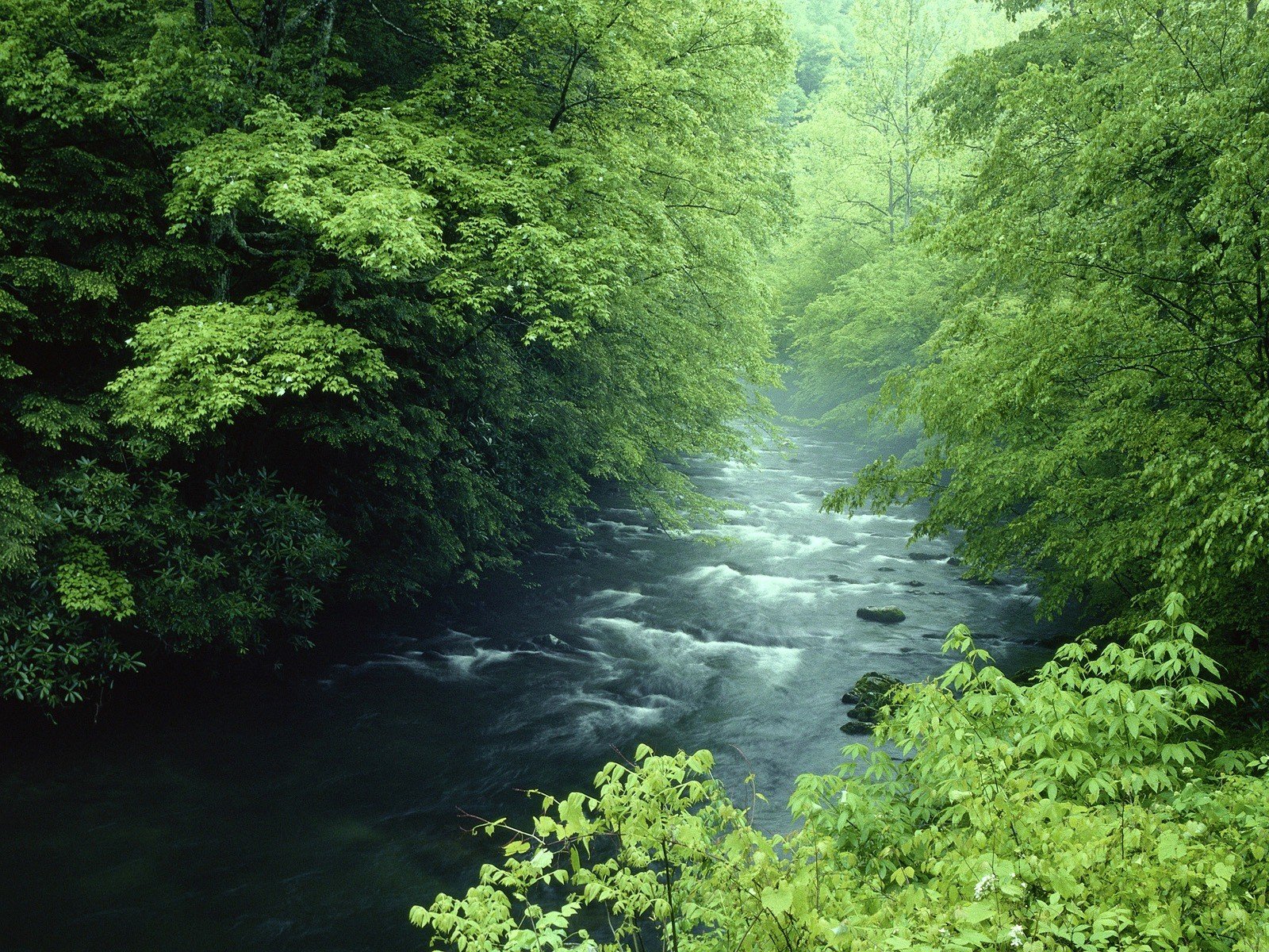 landscapes, Nature, Tennessee, Rivers, National, Park, Great, Smoky, Mountains Wallpaper