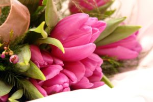 flowers, Tulips, Bouquet, Pink, Flowers