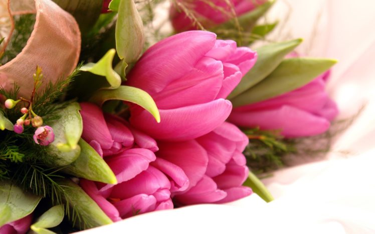 flowers, Tulips, Bouquet, Pink, Flowers HD Wallpaper Desktop Background
