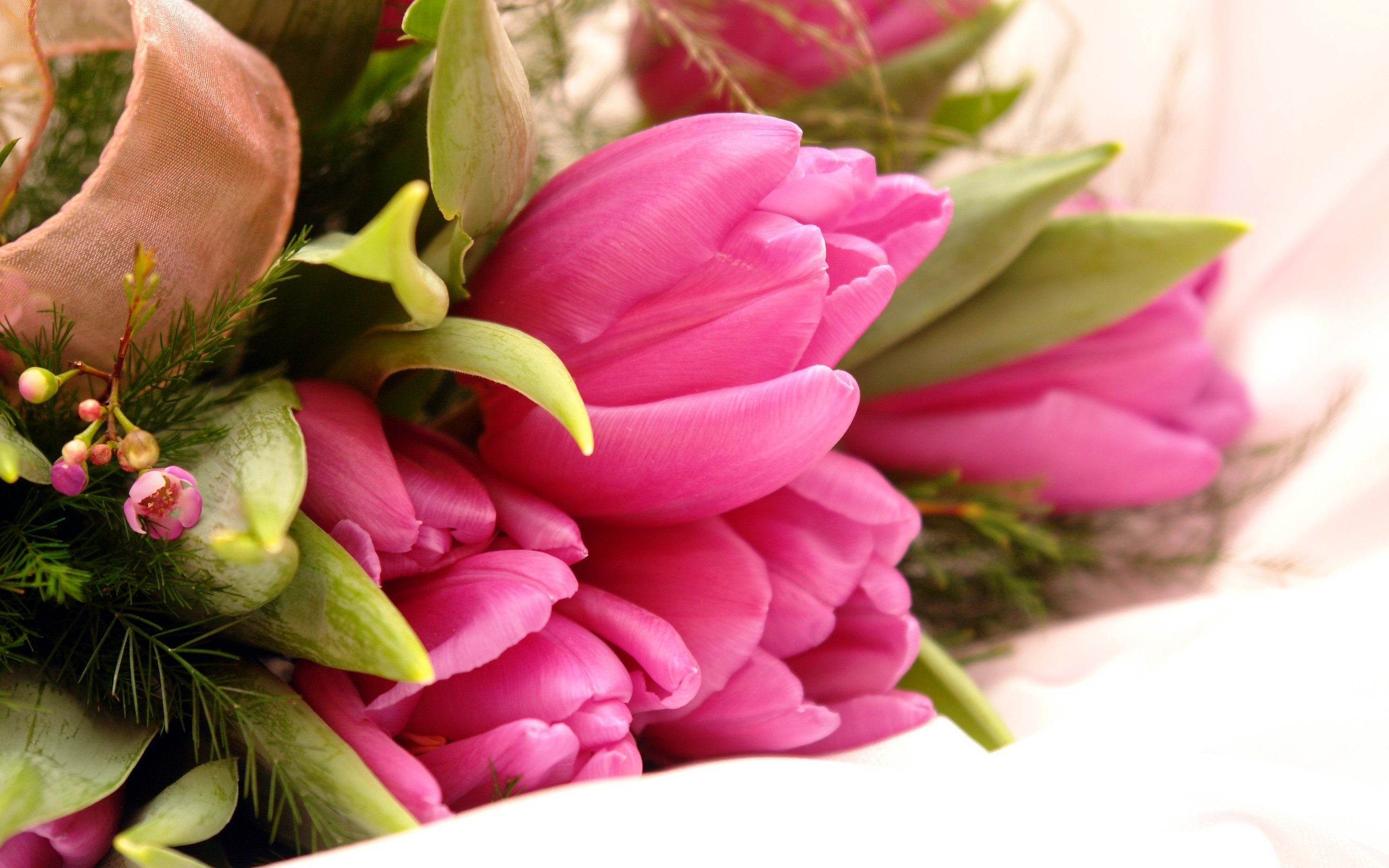 flowers, Tulips, Bouquet, Pink, Flowers Wallpaper