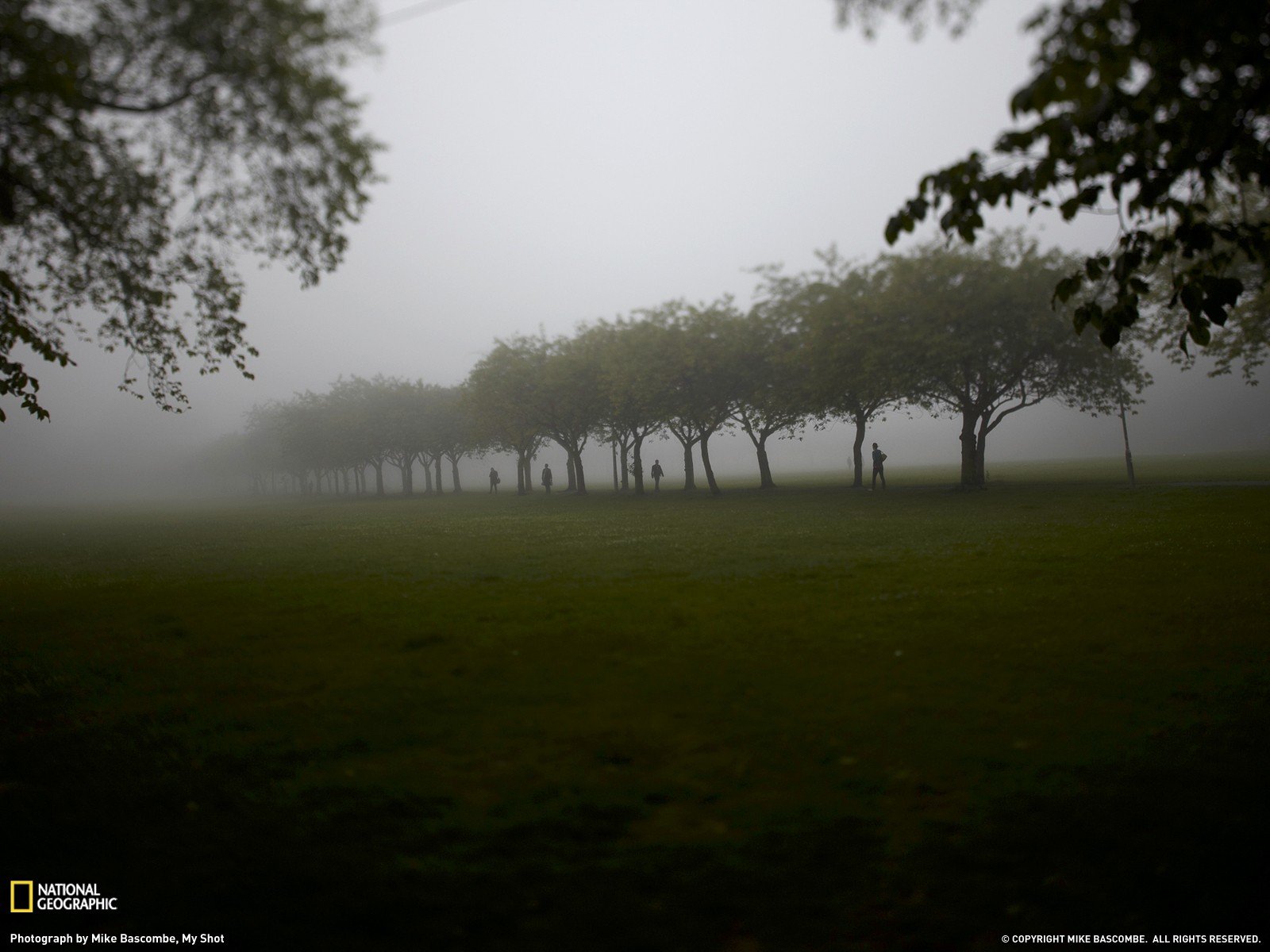 landscapes, Trees, Fog, National, Geographic Wallpaper