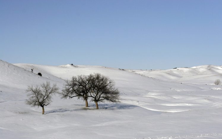 landscapes, Nature, Winter, Snow, Trees, Skylines HD Wallpaper Desktop Background
