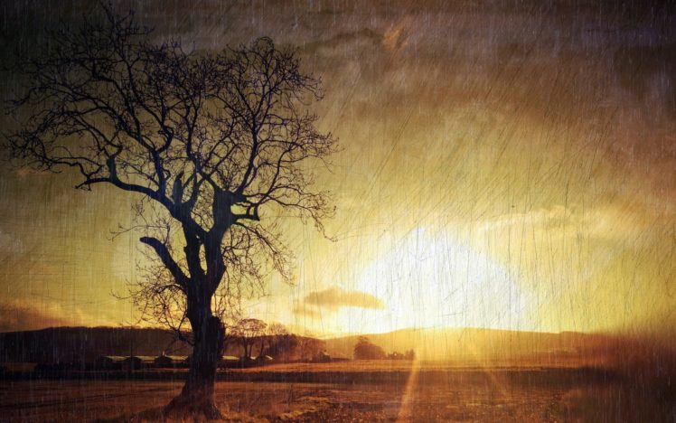 sunset, Landscapes, Nature, Horizon, Trees, Silhouettes HD Wallpaper Desktop Background