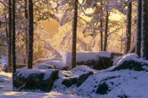 nature, Winter, Snow, Trees, Rocks, Sunlight
