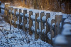 fence, Winter, Snow, Grass