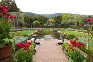 filoli, Landscape, Pond, Garden, Tulips, Usa