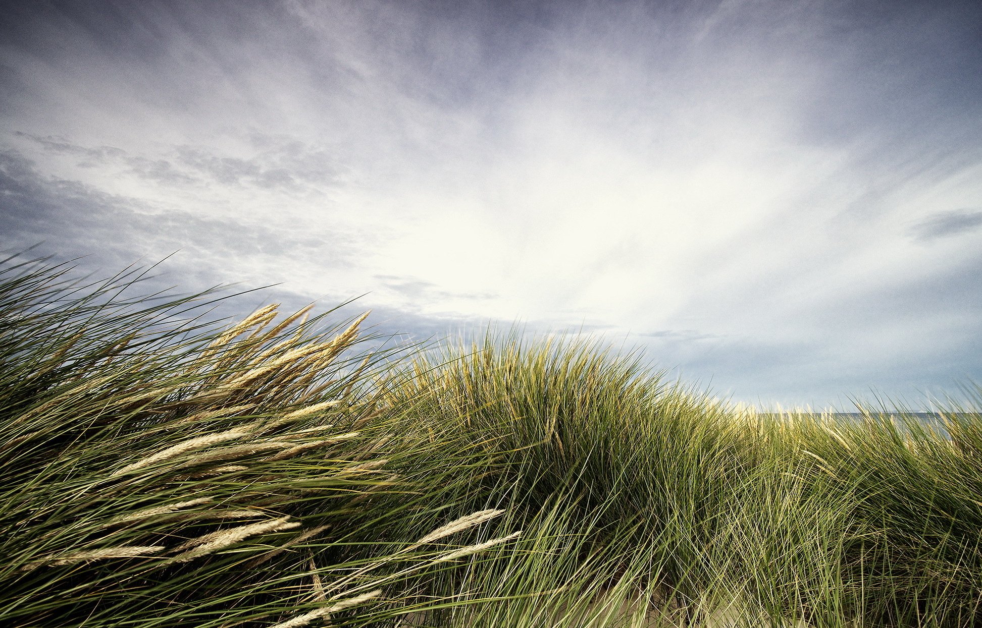 grass, Landscape, Bokeh Wallpaper