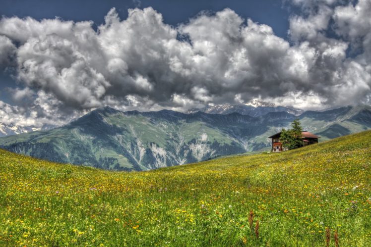 landscape, Mountain, Meadow, Grass, Flowers, House HD Wallpaper Desktop Background