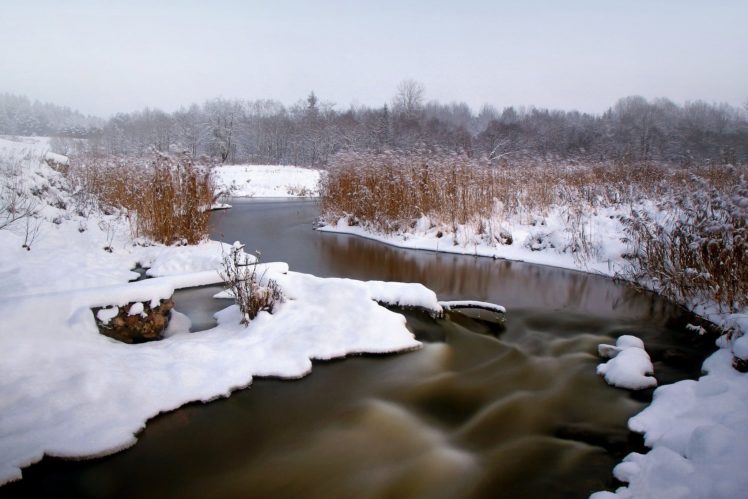 snow, Winter, Reeds, River, Forest HD Wallpaper Desktop Background