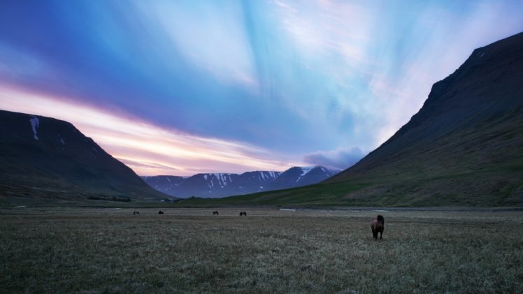 valley, Mountains, Horses, Horse HD Wallpaper Desktop Background