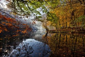 autumn, River, Leaves, Trees, Reflection